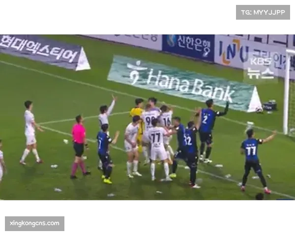 伯尔尼球迷赛后情绪激动 跳下看台与球员发生冲突